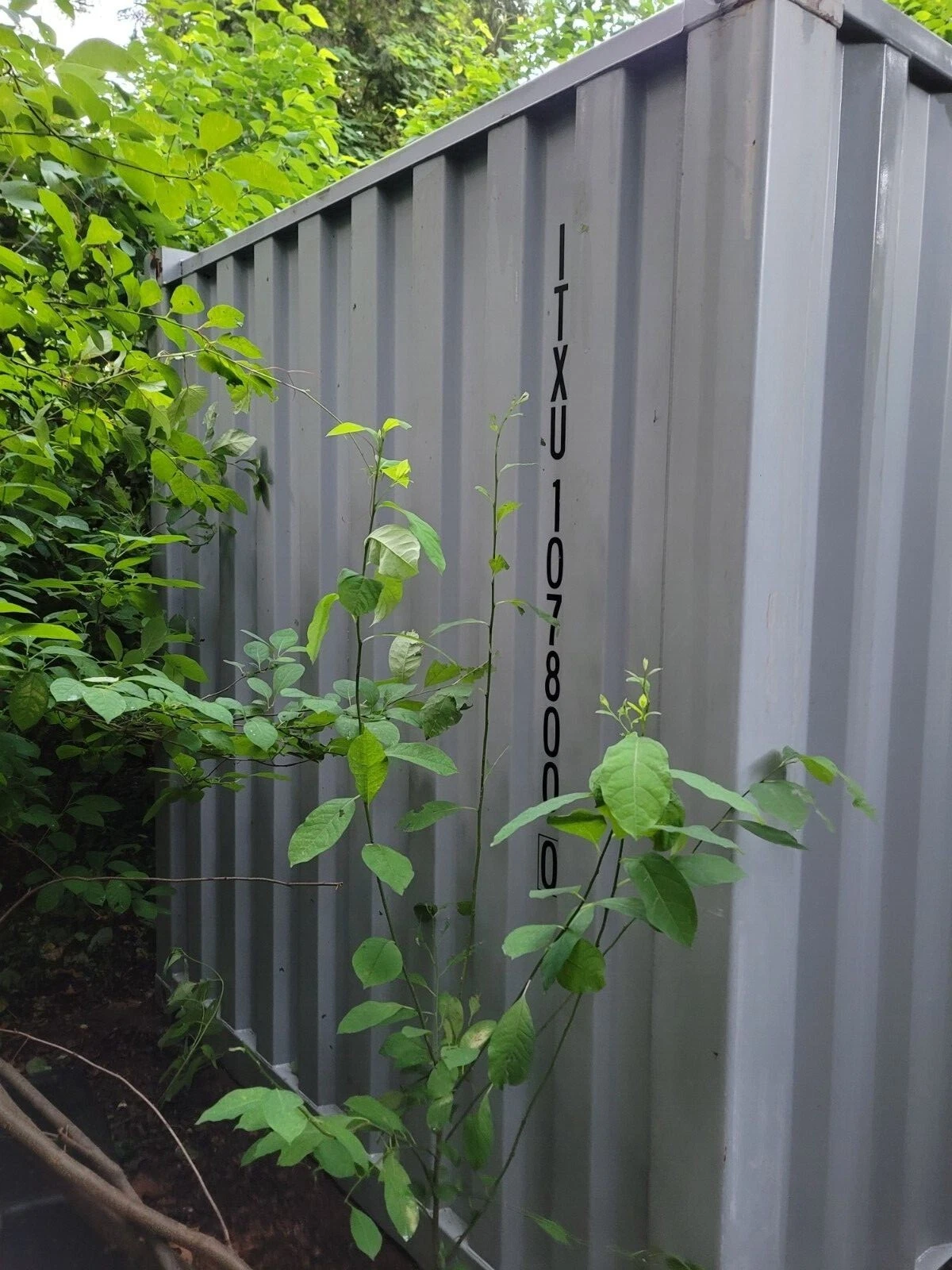 20′ Used Steel Shipping Container Storage Container - Image 3
